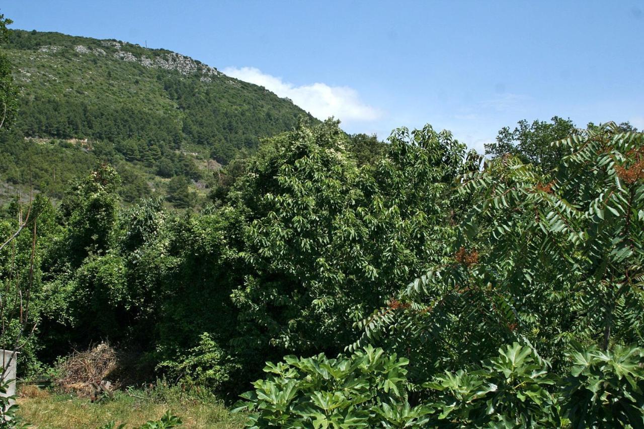 Apartments With A Parking Space Zuljana, Peljesac - 4574 Exterior foto